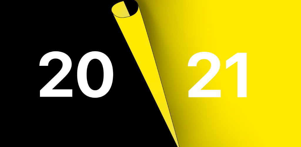 Milestones and learnings from 2020 as we plan for 2021