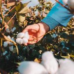 stringwound landing page design-13